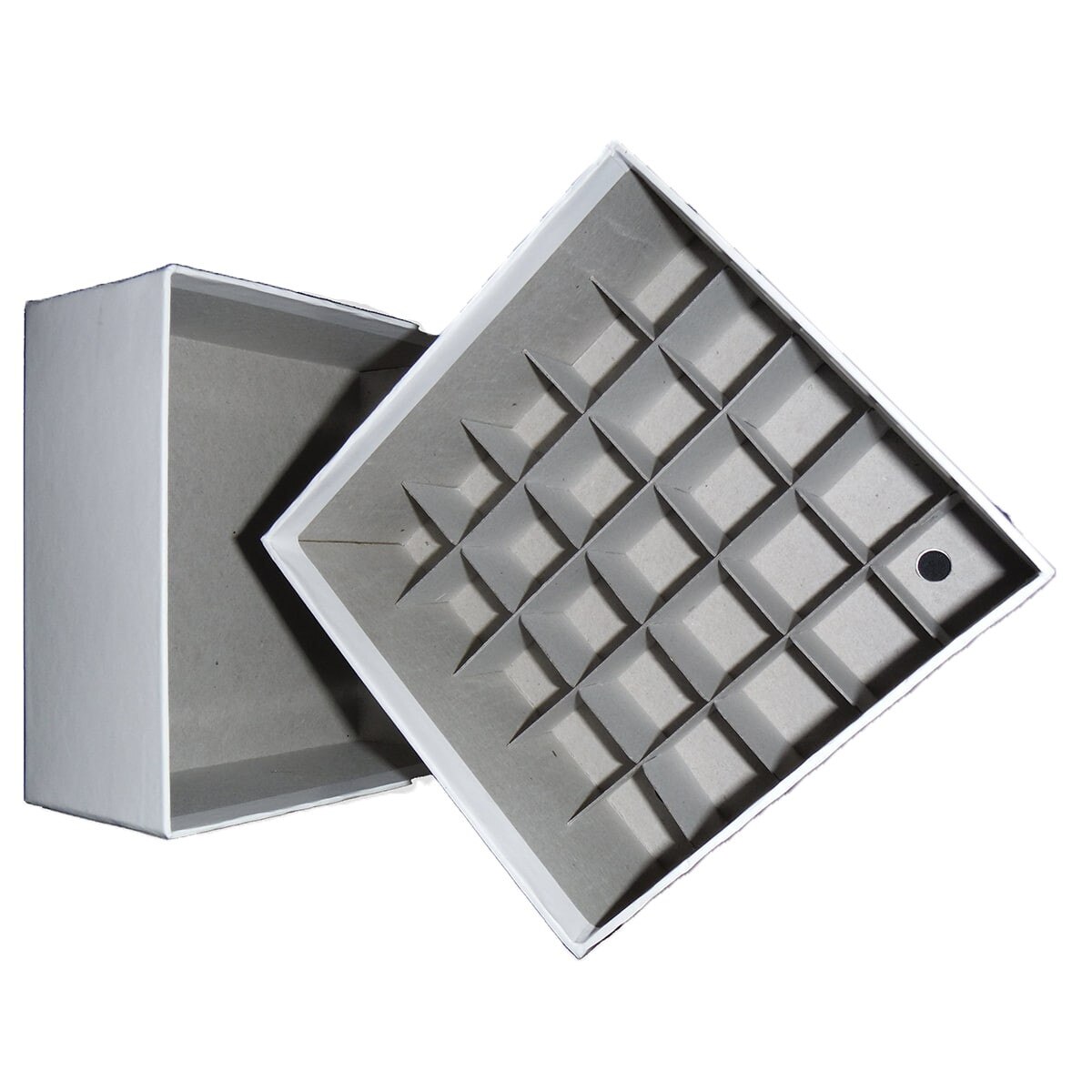 Azer cryogenic storage box